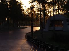 -春花秋色城市公园