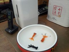 -小吊梨汤·北京菜(香山店)