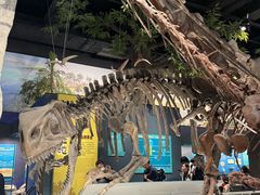 -国家自然博物馆