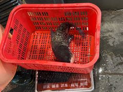 -鱼头泡饭·湖北菜·非物质文化遗产(岳家嘴总店)