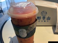 -野萃山·潮汕厚果汁(十亩地店)