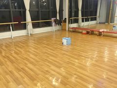 -北京红舞鞋少儿形体舞蹈教育(高新融侨城校区)