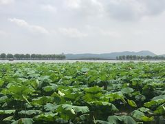 -杭州西湖风景名胜区-北街寻梦