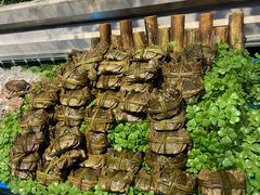 -川骄海鲜自助(河东店)