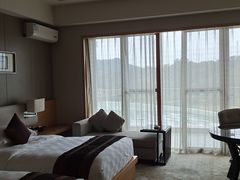 -河源万绿湖美思威尔顿酒店