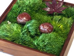 -新荣记(新源南路店)