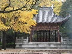 -汇龙潭