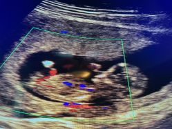 -北京俪婴妇产医院(朝阳大悦城店)