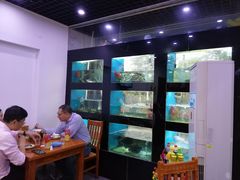 -全乐鱼馆·淳牌有机鱼直营店