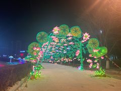 -沈阳奥体冰雪嘉年华