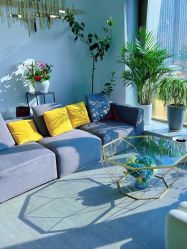 -MJ skin care国际皮肤管理中心