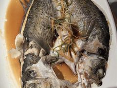 -真定郝家排骨(正定县总店)