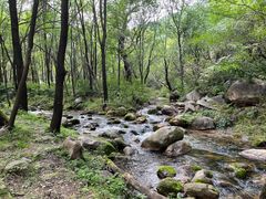 -玉渡山自然风景区