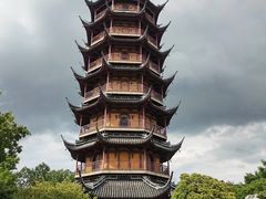 -红梅公园
