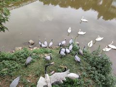 -无锡动物园·太湖欢乐园