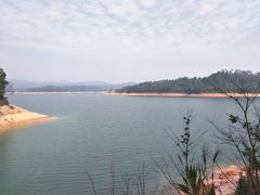 -广州市流溪河国家森林公园