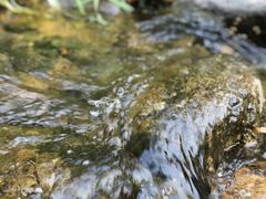 -碓臼峪自然风景区