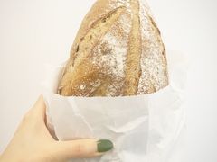 -Madeleine玛德琳(永平里店)