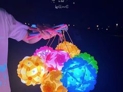 -春花秋色城市公园