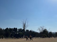 -杭州植物园
