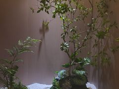 -帝皇海海鲜豆捞(桐泾商务广场店)