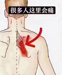 -卡莫瑜伽·普拉提