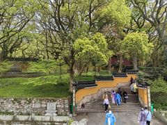 -普陀山风景名胜区-法雨禅寺