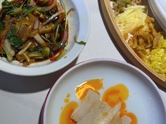 -鸽小宝(深圳首店)