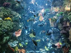 -海合安青岛极地海洋公园