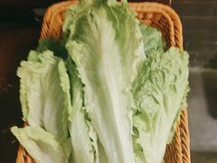 -蜀九鼎毛肚火锅(惠安店)