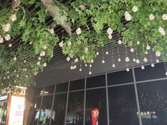 -7分甜(尹山湖歌林公园店)