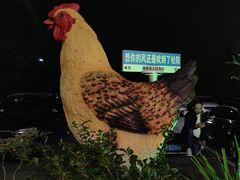 -头上红煨盐鸡乡村食府