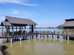 -溱湖国家湿地公园