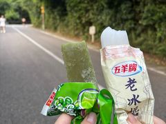 -梧桐山风景名胜区