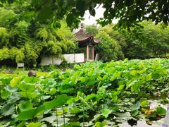 -莲湖公园