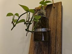 -醉牛腩·面小馆