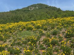 -佛慧山