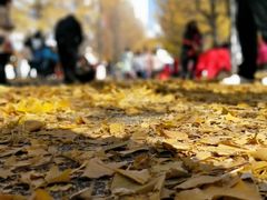 -辽东学院(南校区)