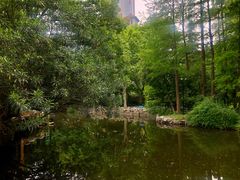 -人民公园-相亲角