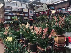 -秦美花卉(天朗·莱茵小城2期店)