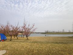 -春花秋色城市公园