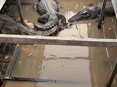 -洞里萨湖