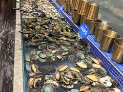 -丰卓会海鲜自助(中润大道店)