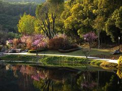 -梅州雁山湖国际花园度假区