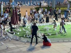 -大梅沙海滨公园