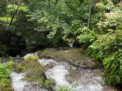 -藏龙百瀑风景区