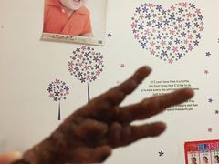 -紫燕百味鸡(交大路店)