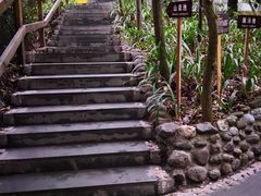 -花水湾第一村温泉大酒店