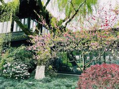 -柳莺湖上·湖景餐厅·江南菜(西湖店)