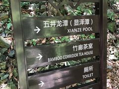 -宁波五龙潭景区